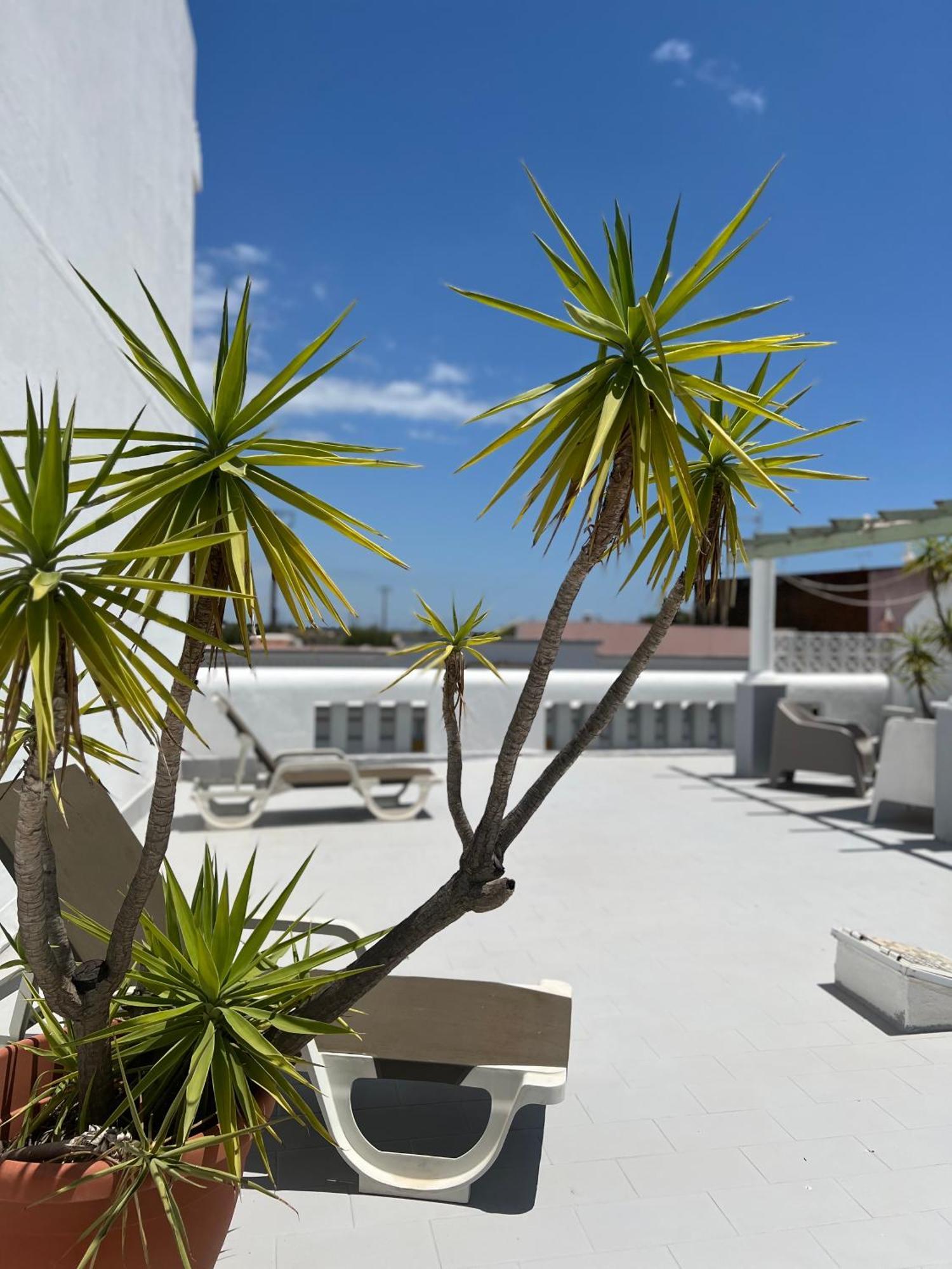Vila Do Sol Fuzeta Exterior foto